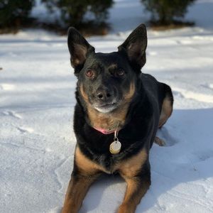 Meet your Posher, Kerrigan